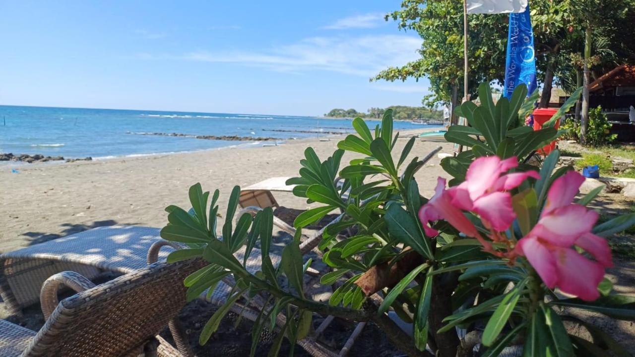 The Beach Bungalows & Turtle Sanctuary Pemuteran  Ngoại thất bức ảnh
